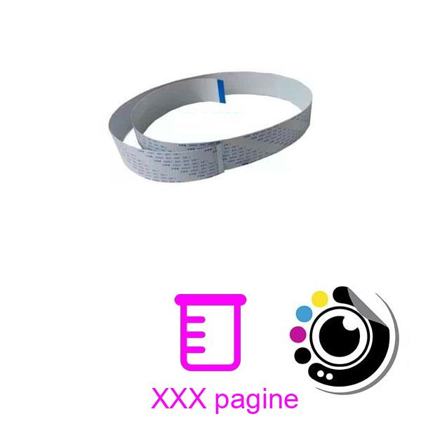 Flat Function Scan Cable Konica Minolta bizhub C10 / 4556PP0K00