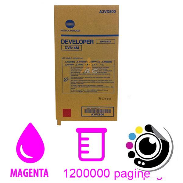 Sviluppatore Originale Konica Minolta DV-614M Magenta (A3VX800)