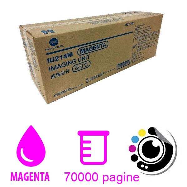 Originale Tamburo Konica Minolta IU214M Magenta